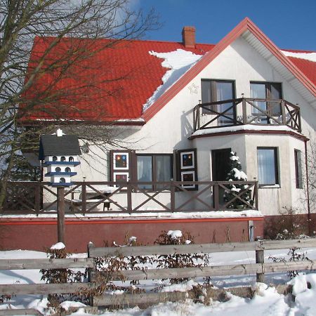 Losiowy Kat Гонёдз Экстерьер фото