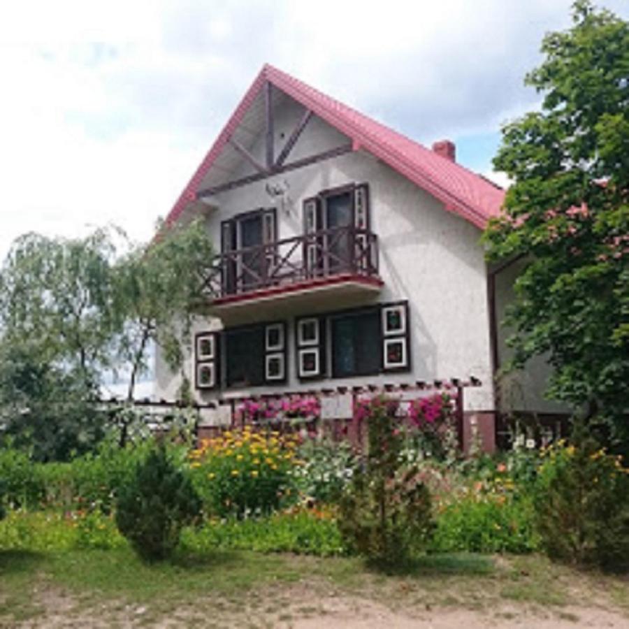 Losiowy Kat Гонёдз Экстерьер фото