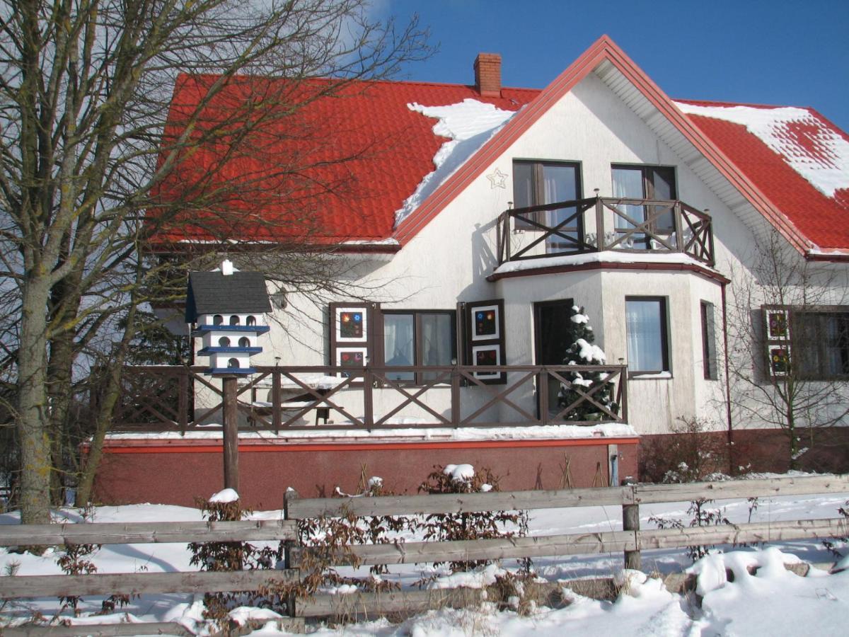Losiowy Kat Гонёдз Экстерьер фото