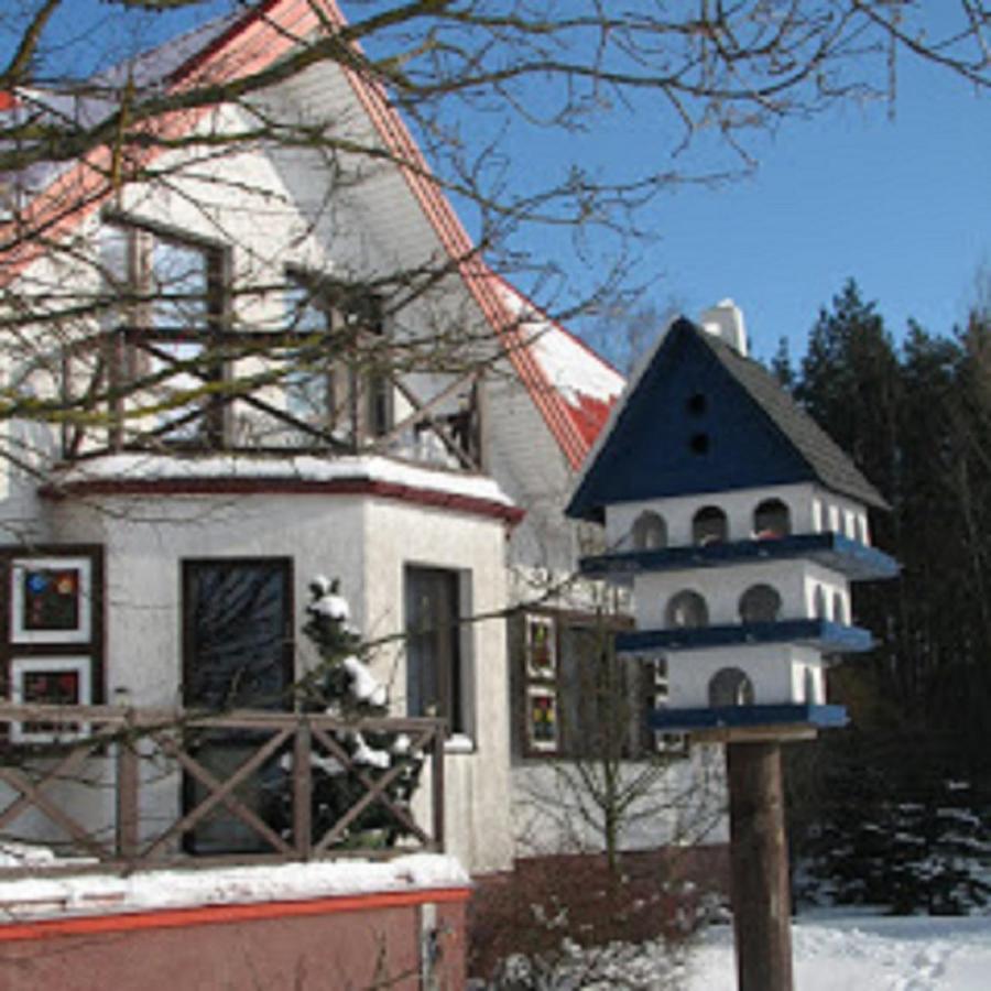 Losiowy Kat Гонёдз Экстерьер фото